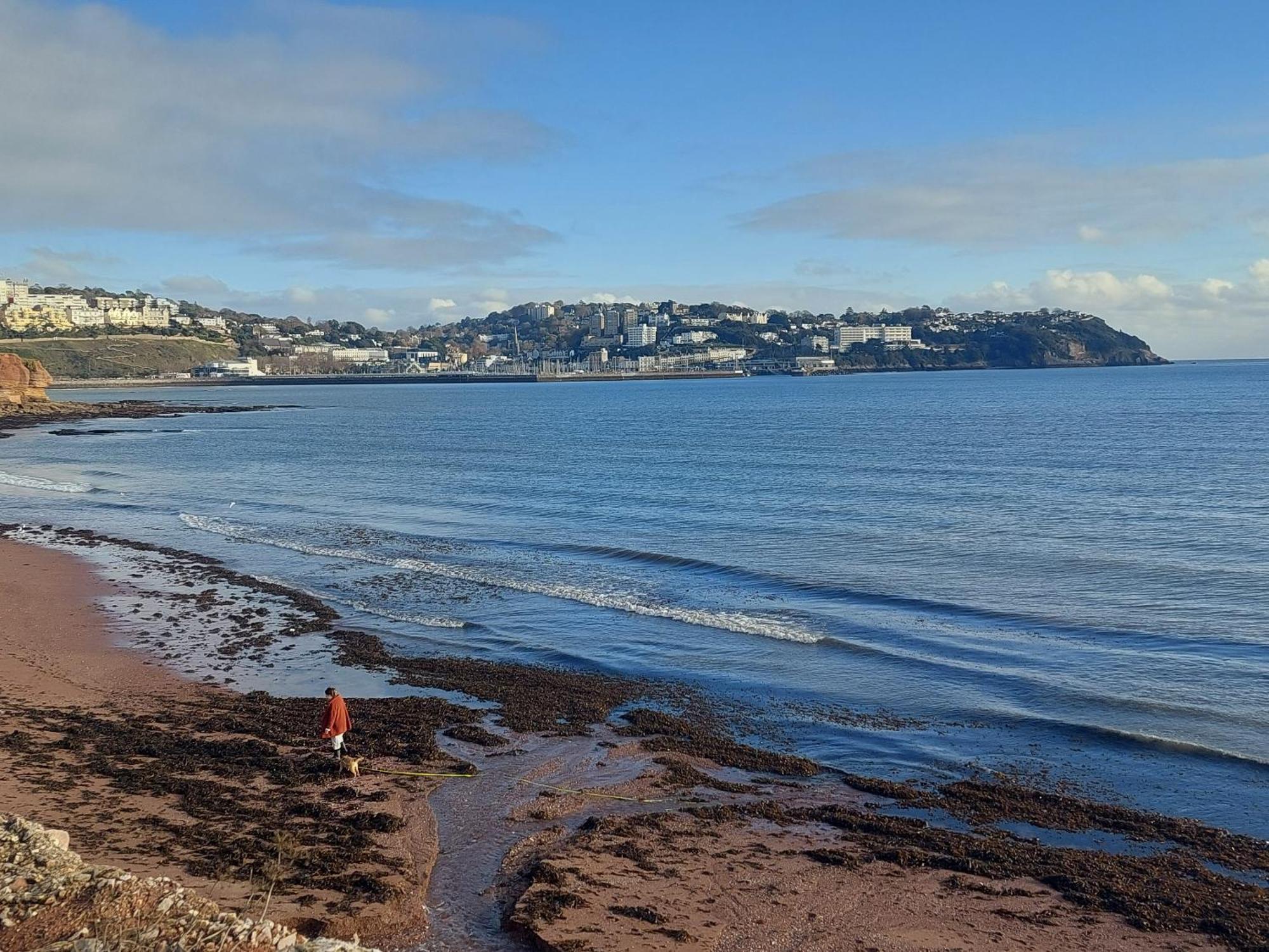 The Seaview Suites At The Corbyn Apartments トーキー 部屋 写真